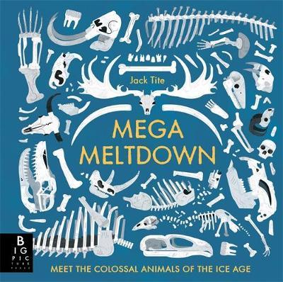 Mega Meltdown - BookMarket