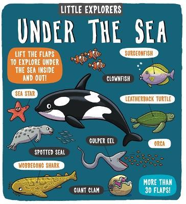 Little Explorers Under Sea