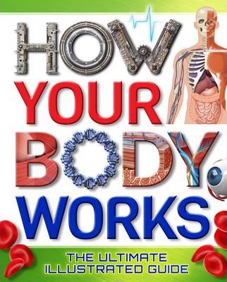 How Your Body Works : The Ultimate Illustrated Guide
