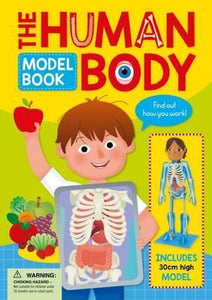 Human Body Model Book