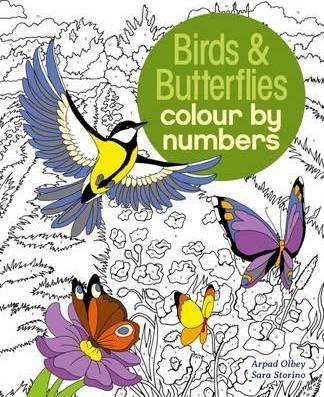 Colour By Numbers Birds & Butterflies - BookMarket