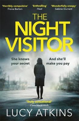 The Night Visitor : the gripping thriller from the author of Magpie Lane