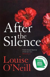 After the Silence : The An Post Irish Crime Novel of the Year