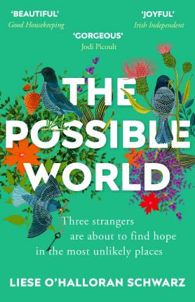 The Possible World /Bp