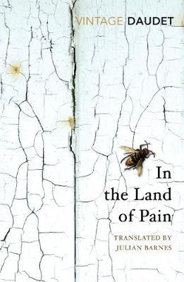 Vintage Classics: In The Land Of Pain /P - BookMarket