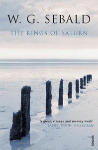The Rings of Saturn : (Vintage Voyages)