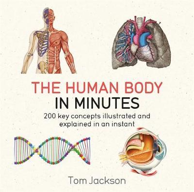 Im: Human Body In Minutes