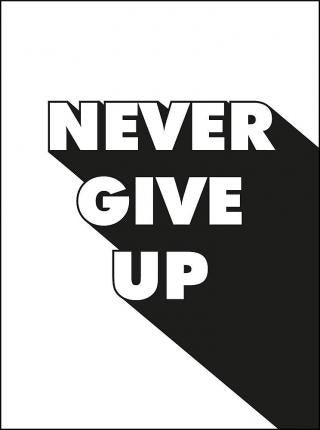 Never Give Up - BookMarket