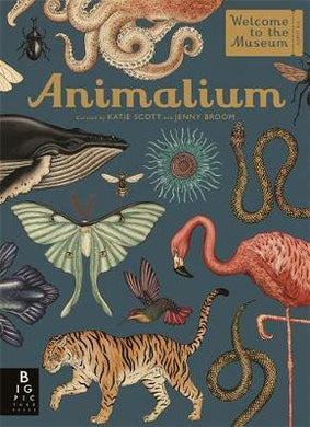 Animalium - BookMarket