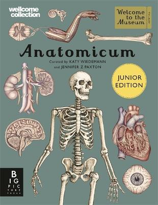 Anatomicum Jnr Ed.