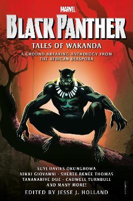 Marvel Novel: Black Panther: Tales From Wakanda