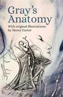 Gray's Anatomy : With Original Illustrations by Henry Carter - BookMarket