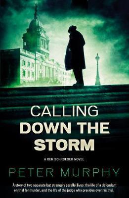 Calling Down The Storm /P - BookMarket