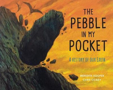 Pebble In My Pocket - BookMarket