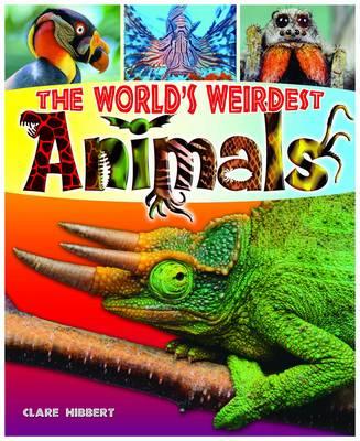 World'S Weirdest Animals
