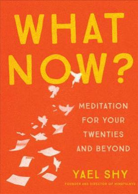 What Now? : Meditation for Your Twenties and Beyond - BookMarket