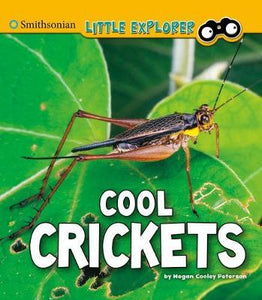Smithsonian Littleento4D Cool Crickets