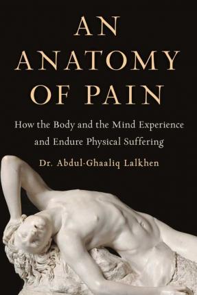Anatomy of Pain (Export)