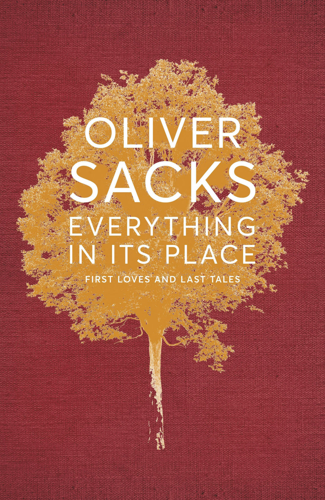 Everything in Its Place : First Loves and Last Tales