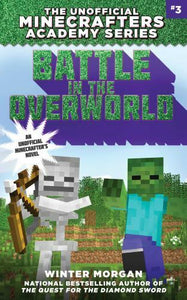 Minecraftacademy03 Battle In Overworld